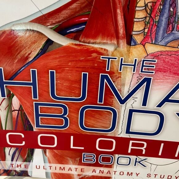 The Human Body Coloring Book - Picture 4 of 14